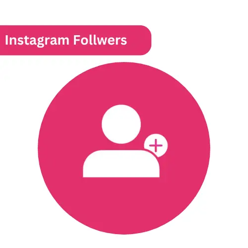 instagram followers 